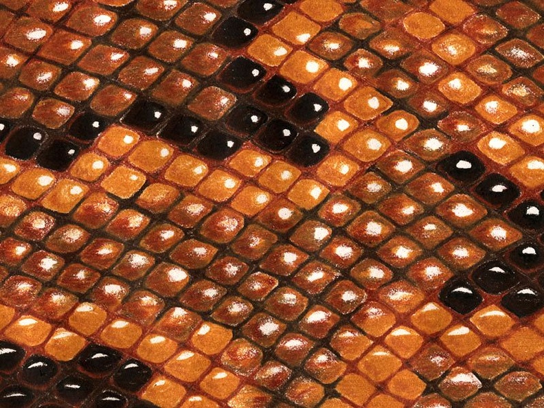 Snake Skin